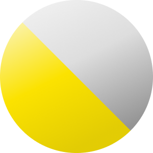 Argintiu / Negru / Galben